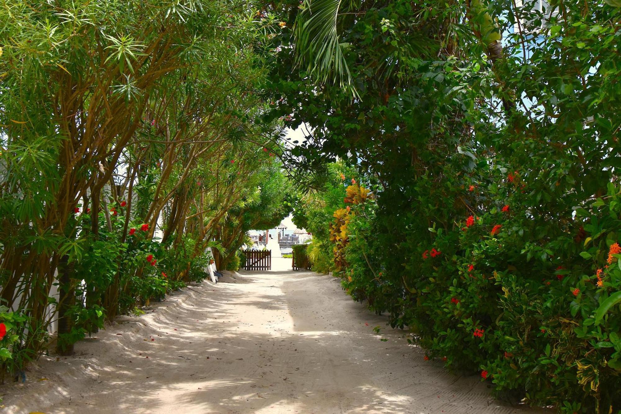 Caribbean Sunrise Cottage Caye Caulker Εξωτερικό φωτογραφία